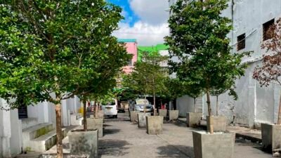 Barranquilla se llenará de árboles en dos de sus puntos turísticos