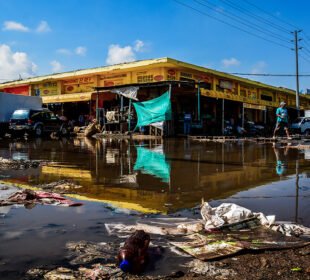 Los Mercados Públicos de Barranquilla están en recuperación: así será el 'Plan Maestro'