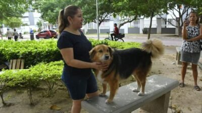 La historia de Apolo, el perro que salvó a un recién nacido en Villa Carolina