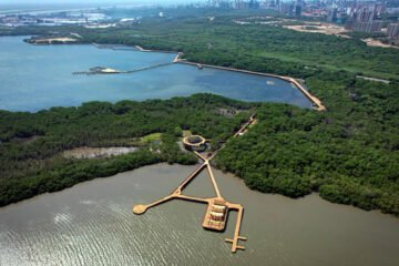 Barranquilla, ciudad modelo para la ONU en restauración del medio ambiente