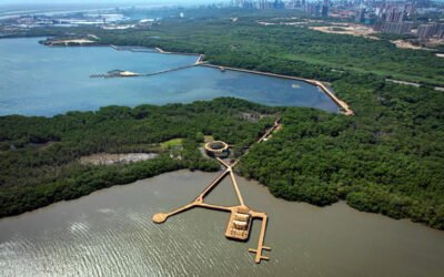 Barranquilla, ciudad modelo para la ONU en restauración del medio ambiente